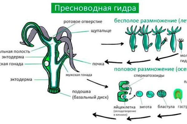 Кракен ссылка даркнет