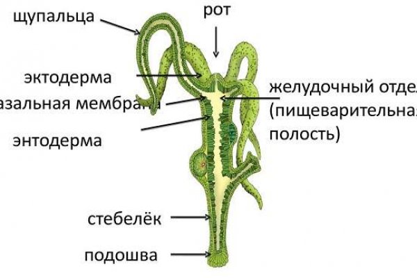 Кракен торговая kr2web in