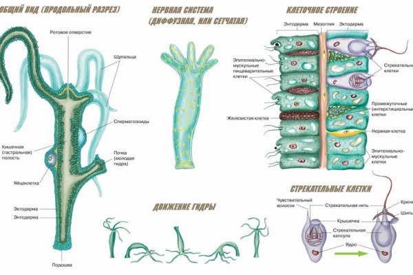 Kraken официальный сайт ссылка